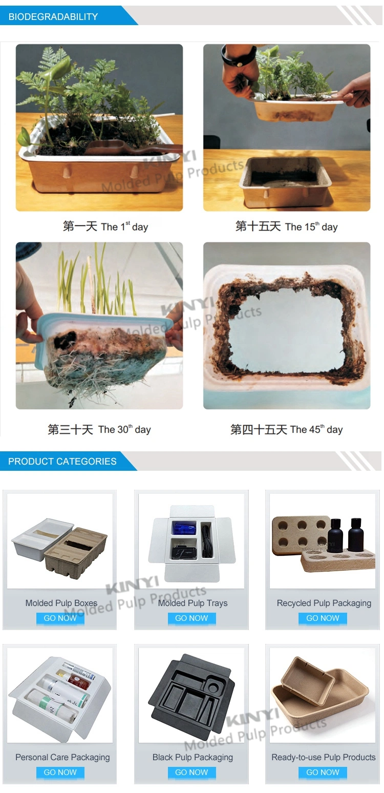 Customized White Electronic Biodegradable Pulp Molded Tray Wet Press Sugarcane Bagasse Inner Insert Tray