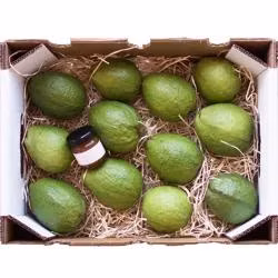 A cor dobro da parede imprimiu caixas de empacotamento da banana da caixa de transporte do fruto